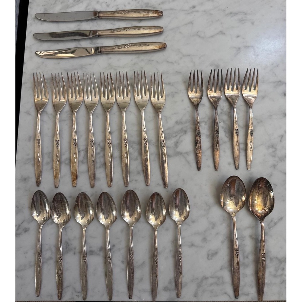Oneida Community Silverplate Flatware 24pc Enchantment Gentle Rose 1960 Floral